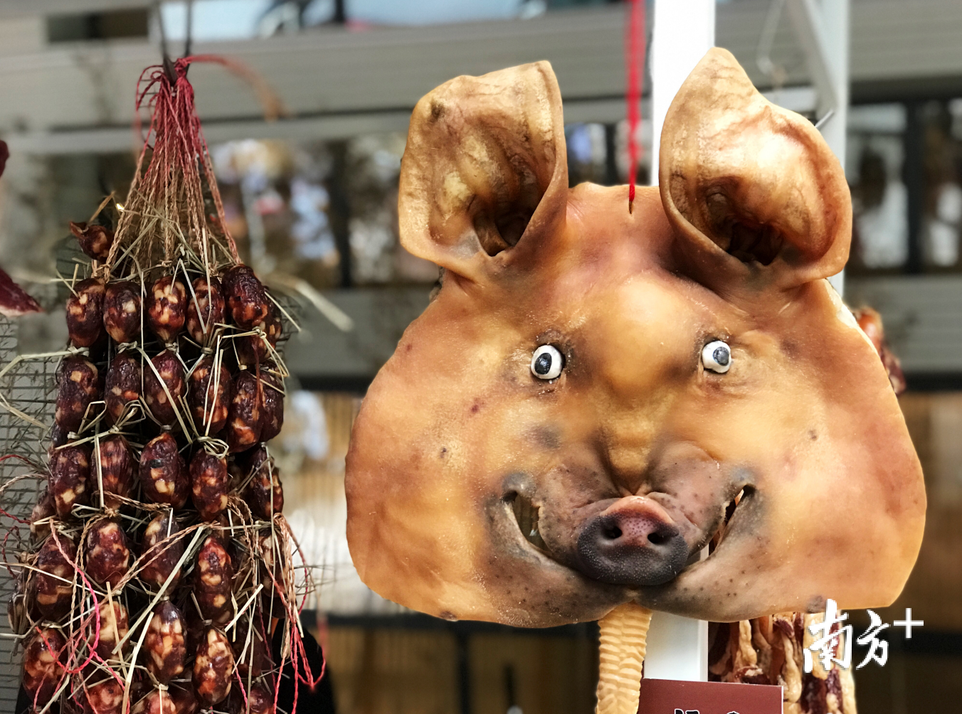 是哪个猪头(皮)笑得这么开心? 是哪个猪头(皮)笑得这么开心?