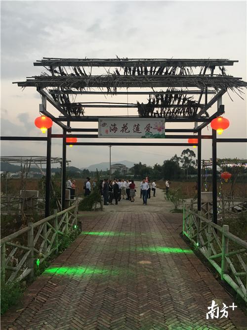 广东·佛冈“濂溪公园”将落户汤塘陂角村,图为公园花海。程浩 摄 广东·佛冈“濂溪公园”将落户汤塘陂角村,图为公园花海。程浩 摄