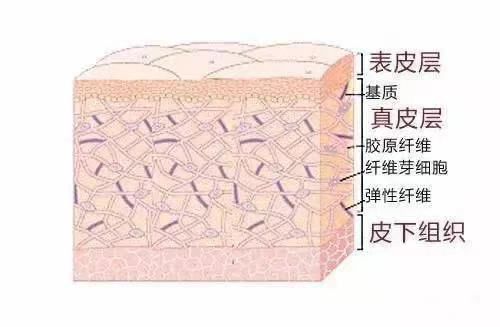 CA签署“超细纤维2030承诺”