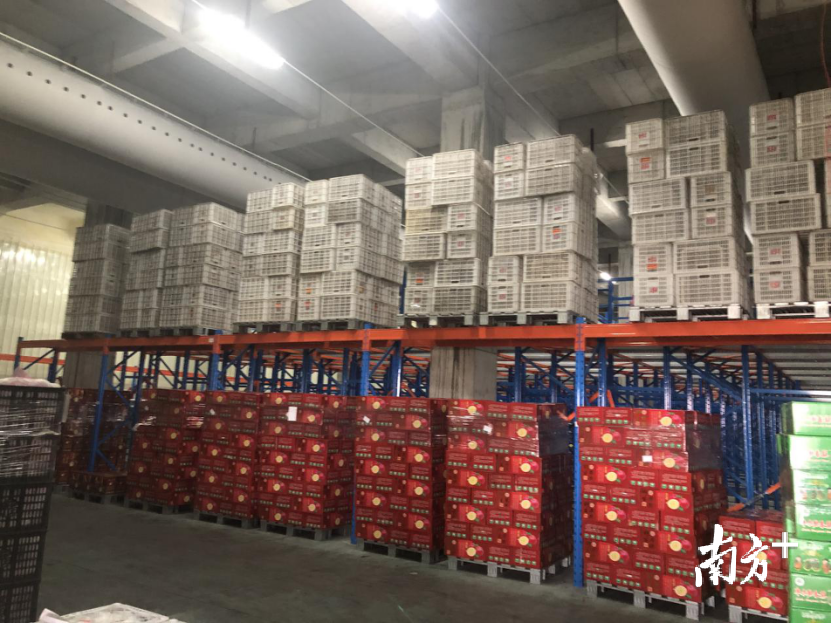 广东现代农业产业园冷藏仓库一角