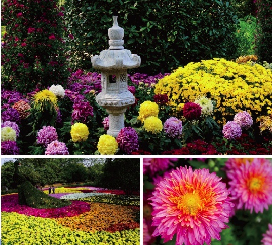 深圳公园文化季 深圳公园文化季