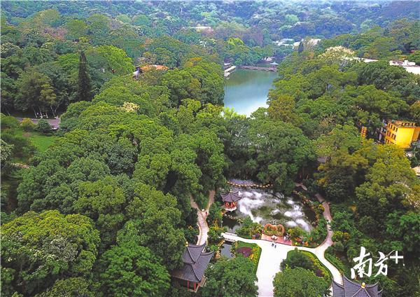 博罗全力构建国家全域旅游示范区。图为风景秀丽的罗浮山景区。南方日报记者 王昌辉 摄 博罗全力构建国家全域旅游示范区。图为风景秀丽的罗浮山景区。南方日报记者 王昌辉 摄