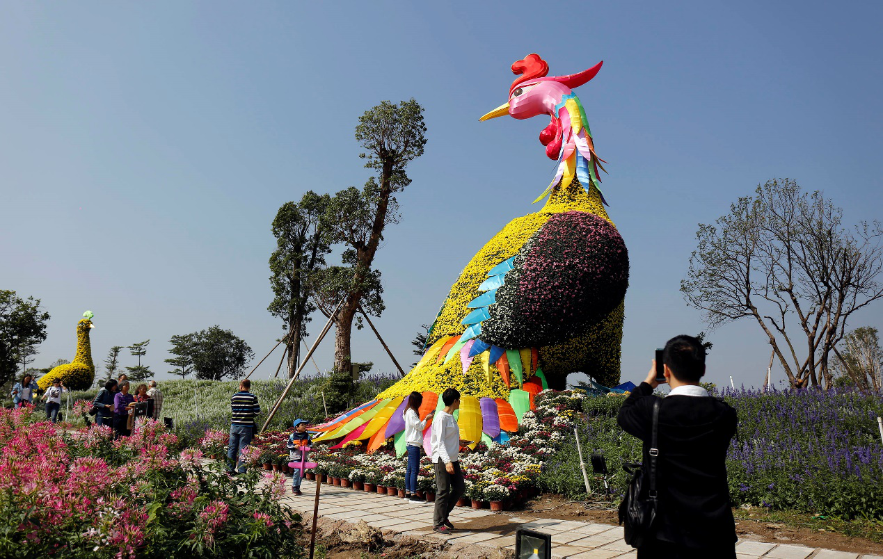 游客在菊花展区拍照留念 游客在菊花展区拍照留念