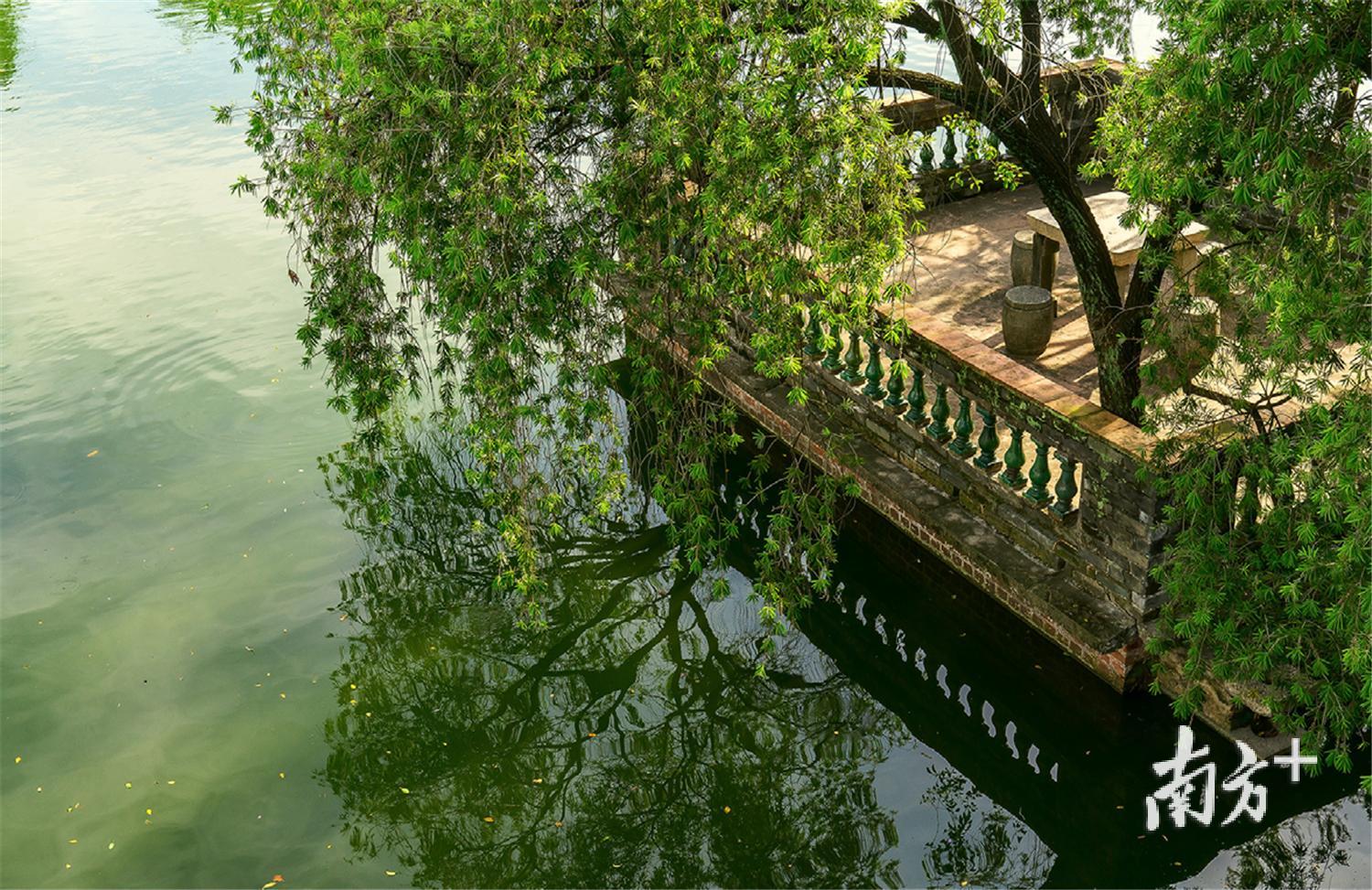 可园沉寂而古朴，是张敬修十四年的心血。