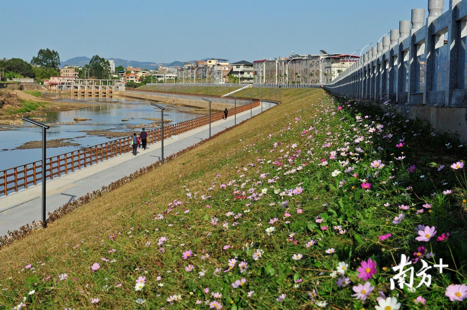当前，梅州河长制工作全面进入“见行动”“见成效”阶段。（南方日报记者 何森垚 摄）
