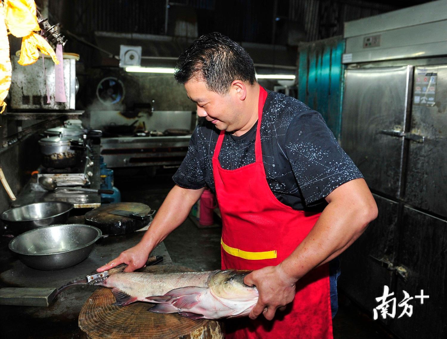 杀鱼去鱼鳞。 杀鱼去鱼鳞。