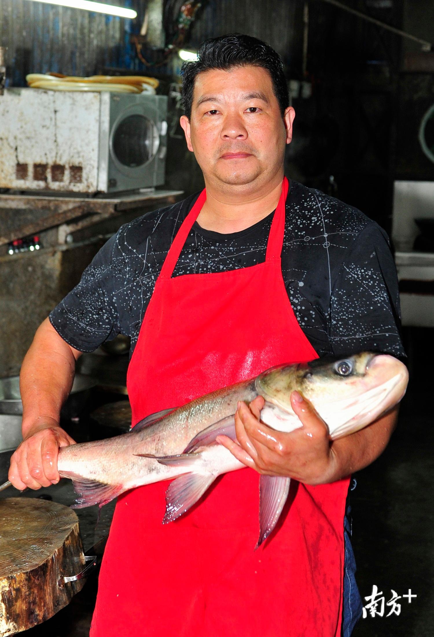 料理师傅抱着七八斤重的雄鱼。 料理师傅抱着七八斤重的雄鱼。