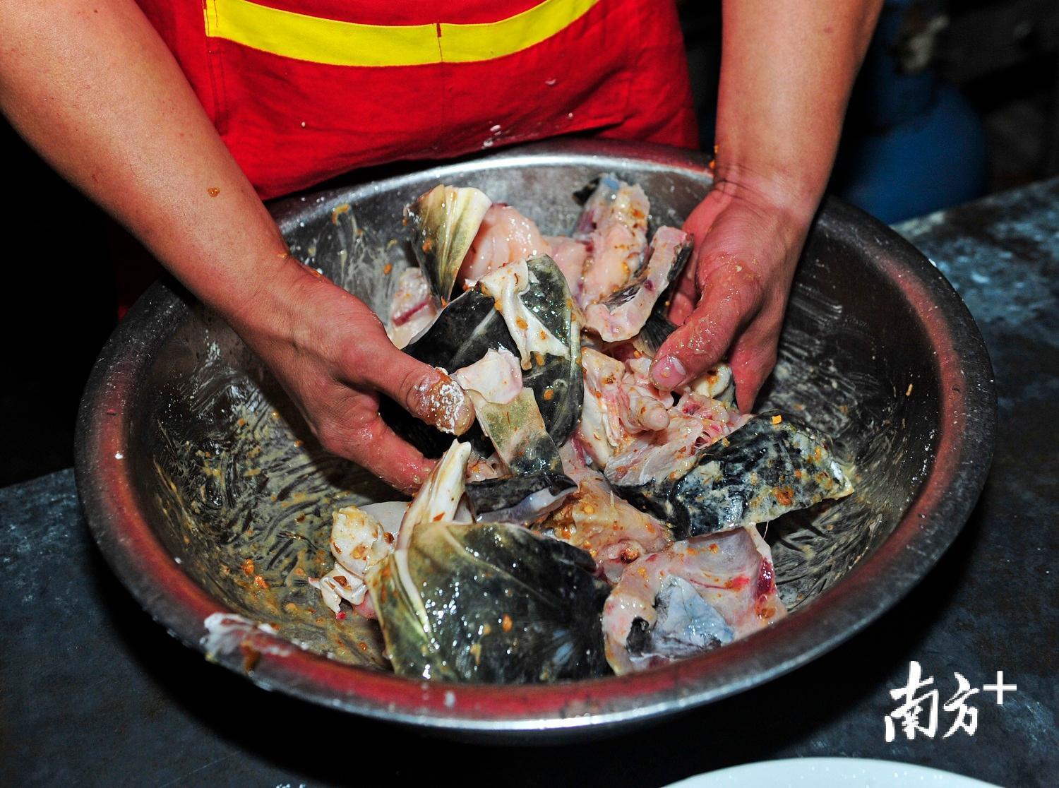 最关键的一步是将鱼头与避腥配方搅拌均匀。 最关键的一步是将鱼头与避腥配方搅拌均匀。