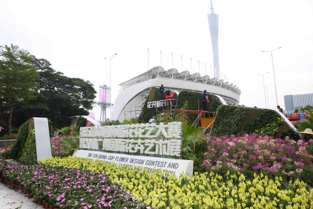 倒计时1天 海心沙上演花开倾城 国际花卉展承包你的朋友圈 南方plus 南方 倒计时1天 海心沙上演花开倾城 国际花卉展承包你的朋友圈 南方plus 南方