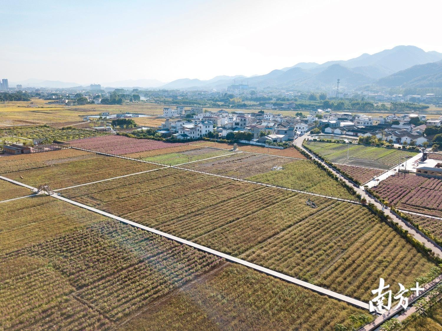 长潭镇白马村。