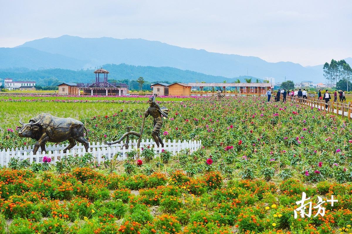 长潭镇白马村。