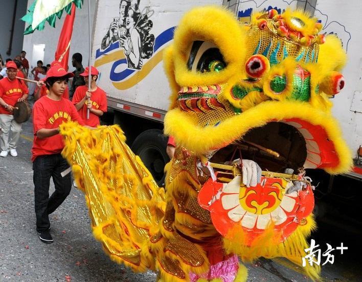 巴拿马华人把“醒狮”带到了当地。 巴拿马华人把“醒狮”带到了当地。