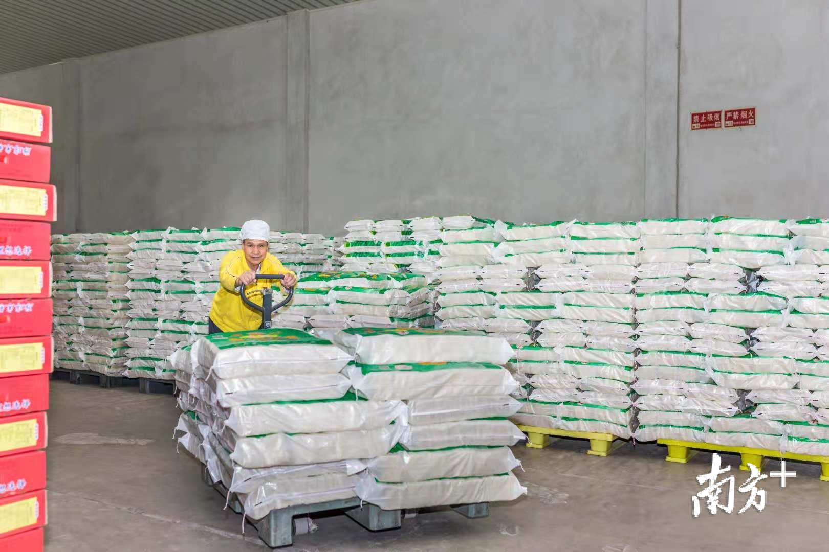 工作人员将包装好的雁球米粉运输到仓库。