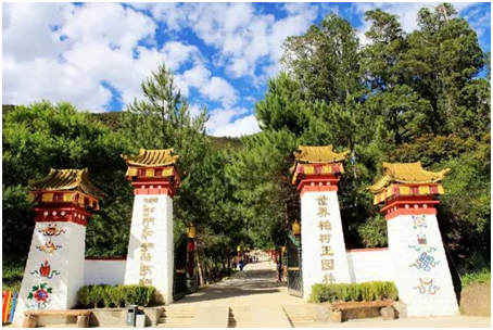 世界柏树王园林 世界柏树王园林