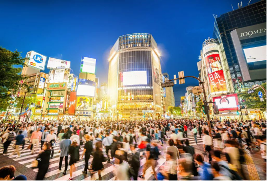 图片来源：视觉中国