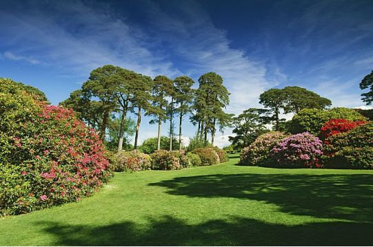 图片来源：视觉中国