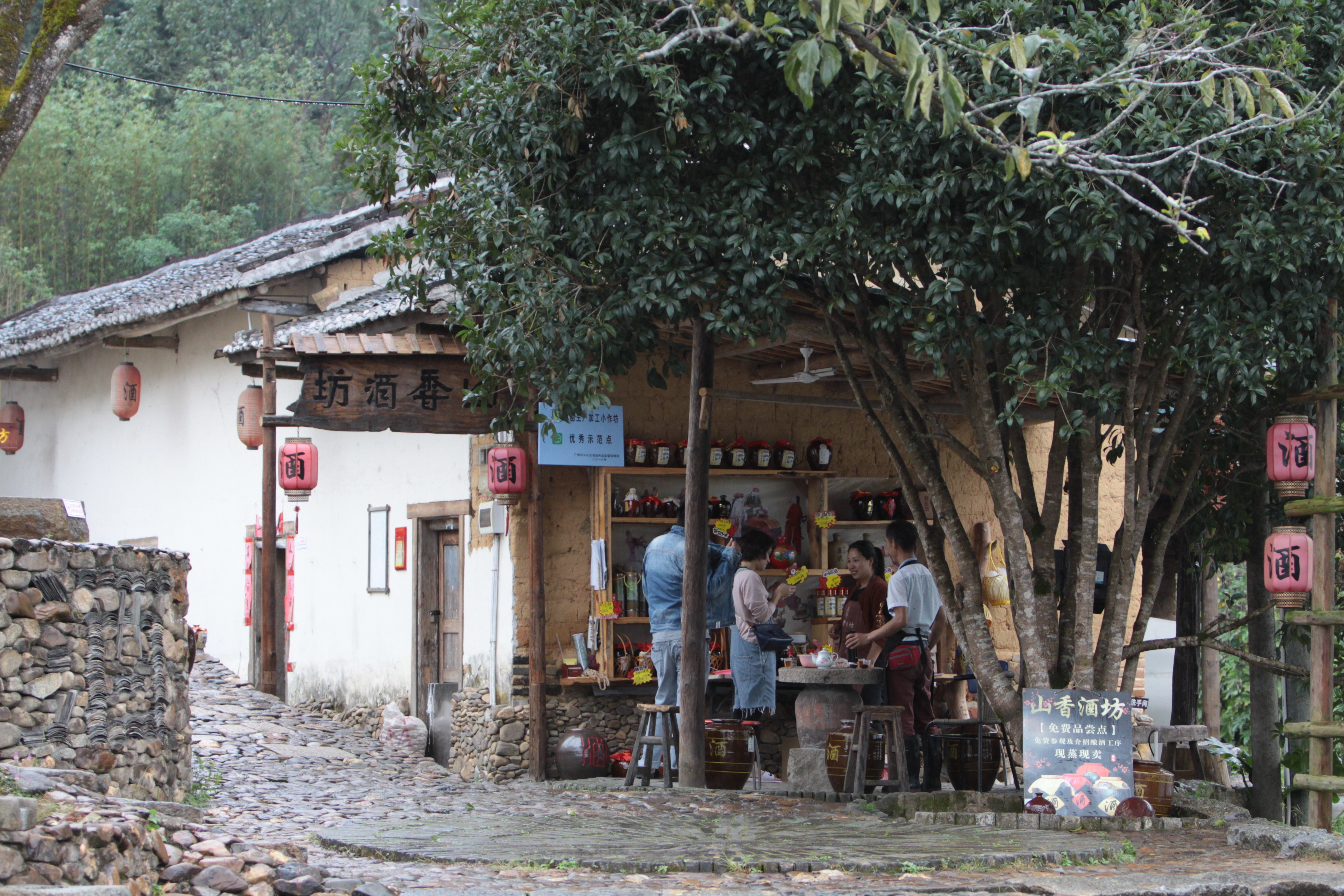 广东乡村振兴微纪录⑤ | 广州从化"80后"小伙回乡创业开酒坊,年收入近