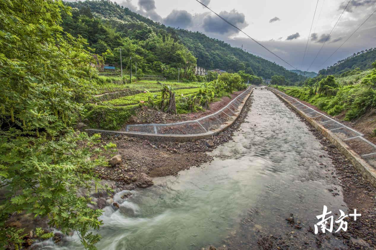 西阳溪鲤(张文祥 摄) 西阳溪鲤(张文祥 摄)