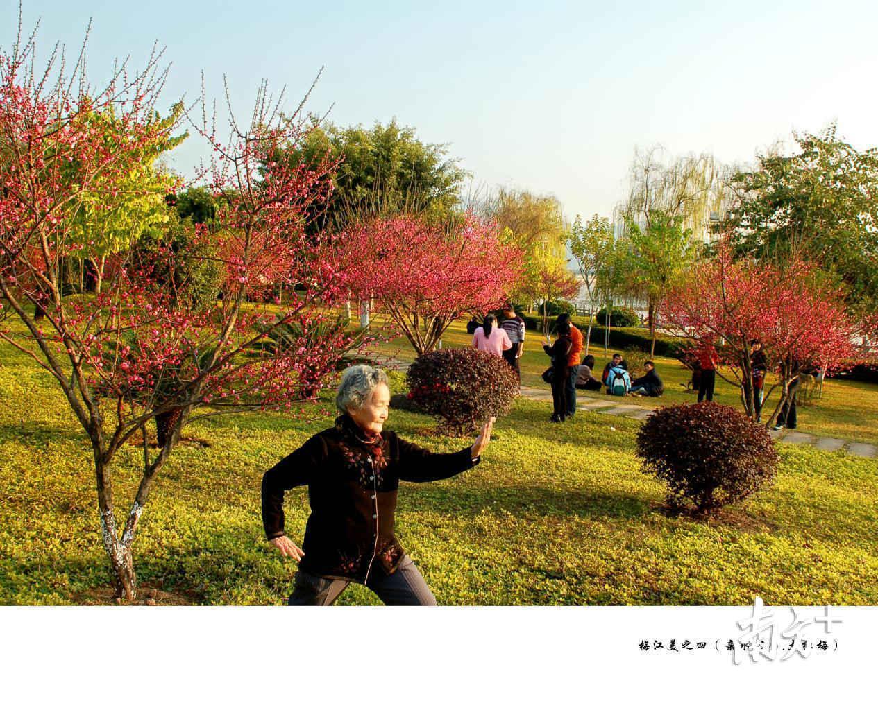 梅江美(皱育道 摄) 梅江美(皱育道 摄)