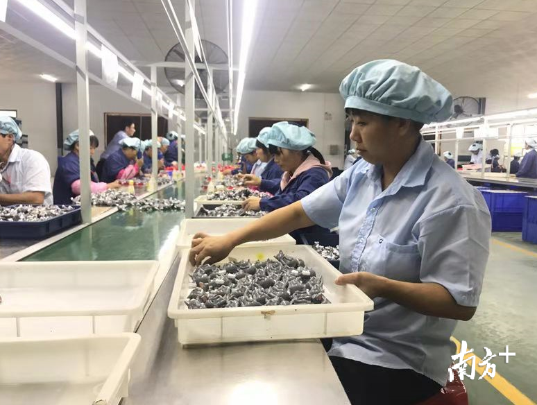 连樟村办起了玩具加工厂，村民实现在家门口就业。 陈咏怀 摄