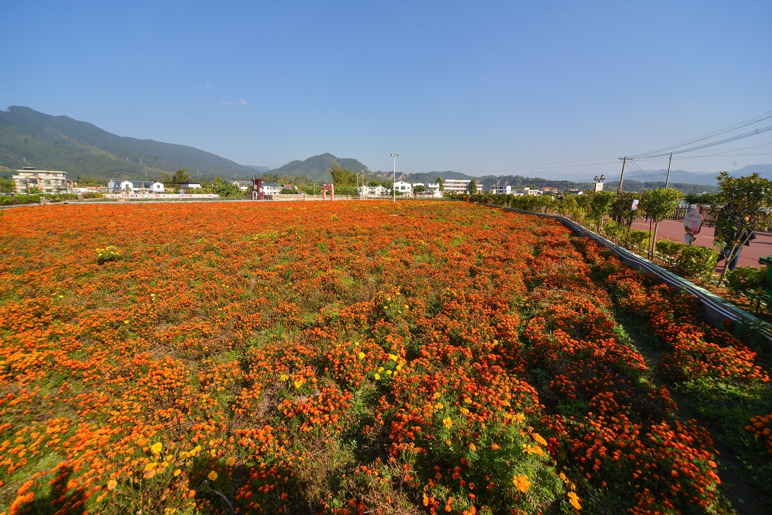 梅州新农村建设如火如荼进行中。图为蕉岭县长潭镇白马村。（南方日报记者 何森垚 摄）