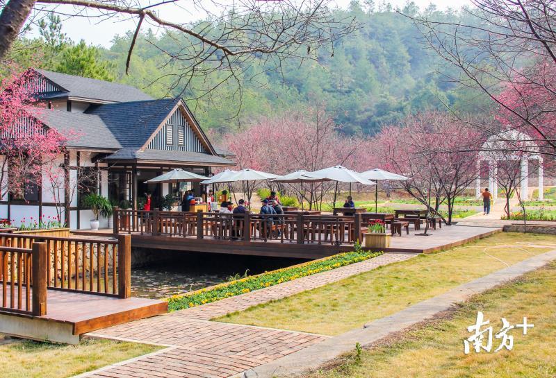 爱丽丝庄园四季如画，梅江区将城郊农业与休闲观光、美丽乡村建设等相结合，做好生态+文章。（袁群华 摄）