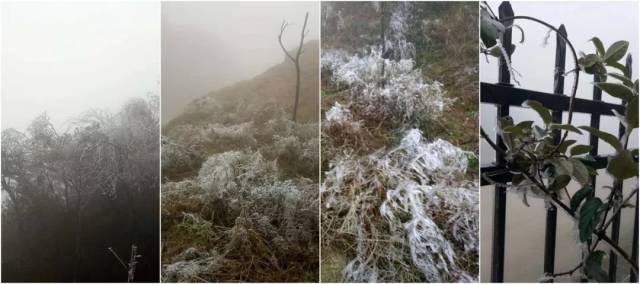 陈桂舟 摄 陈桂舟 摄