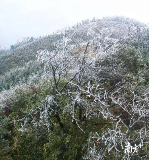 上一周,清远迎来了入冬以来的首场大降温,清远的北部高寒山区甚至出现了冰挂、初雪。 全媒体记者 曾亮超 摄 上一周,清远迎来了入冬以来的首场大降温,清远的北部高寒山区甚至出现了冰挂、初雪。 全媒体记者 曾亮超 摄
