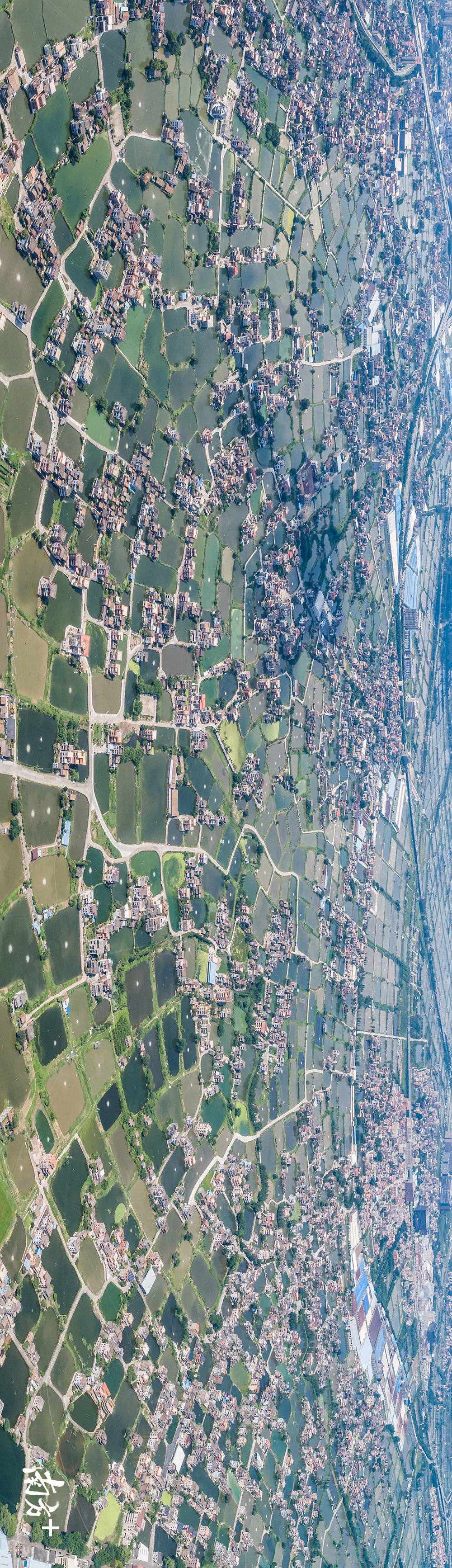 佛山·桑基鱼塘