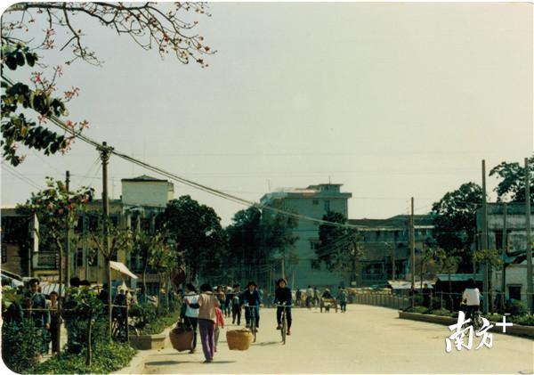 县城榕桥(老)。 县城榕桥(老)。