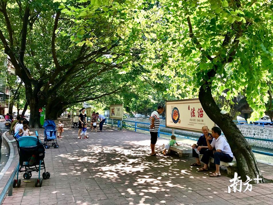 金霞街道打造文明社区，不断激活社区这一“城市细胞”的文明活力。