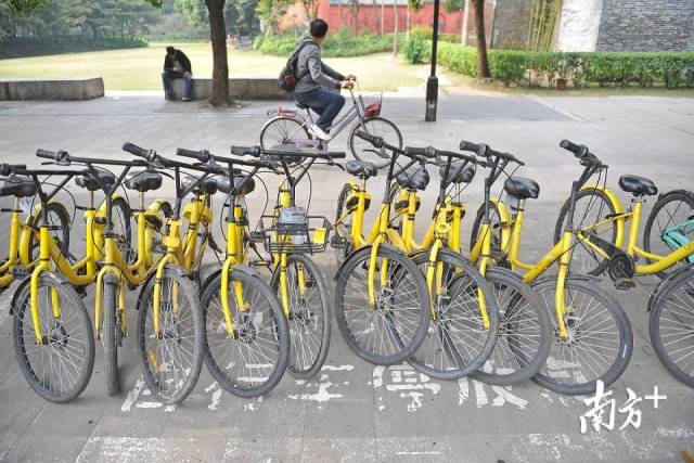 共享单车免费使用吗 w640