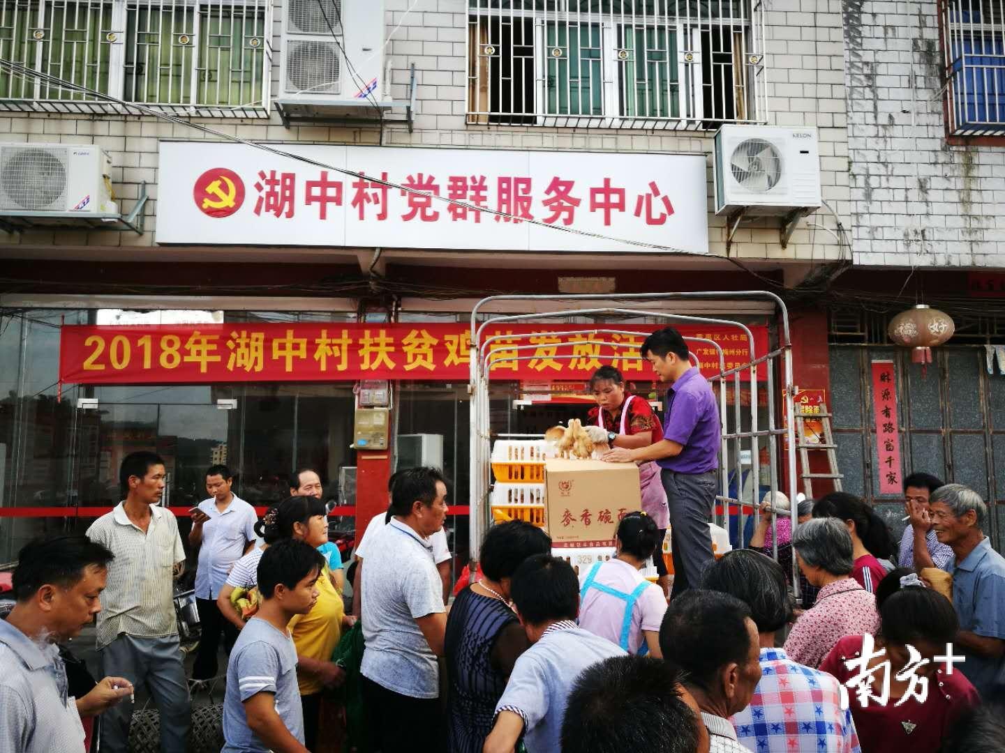 湖中村举行2018年扶贫鸡苗发放活动。 湖中村举行2018年扶贫鸡苗发放活动。