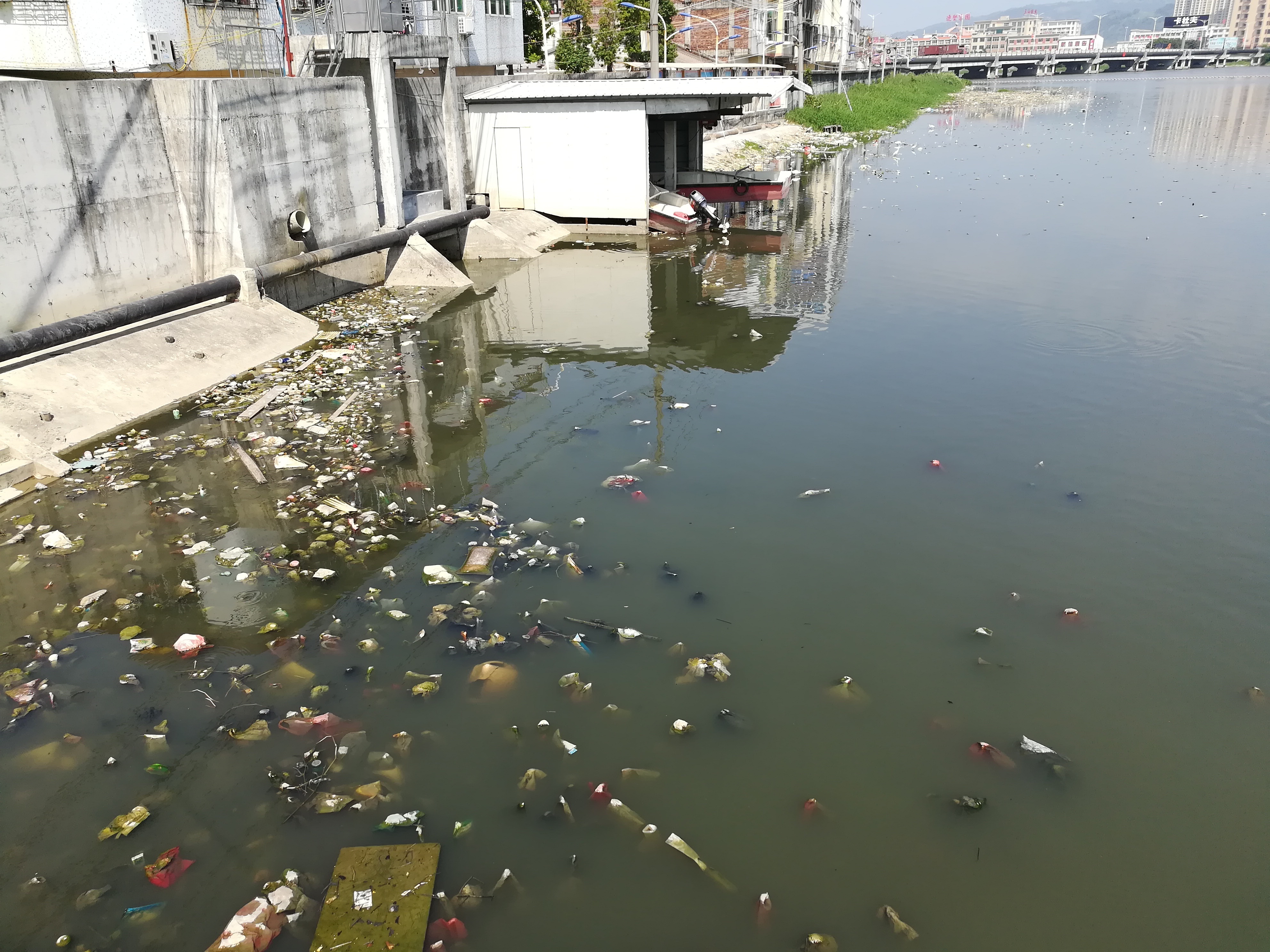 驻河第108天 | 走访练江各支流出口(下) 排放渐少河水畅,中港河入江