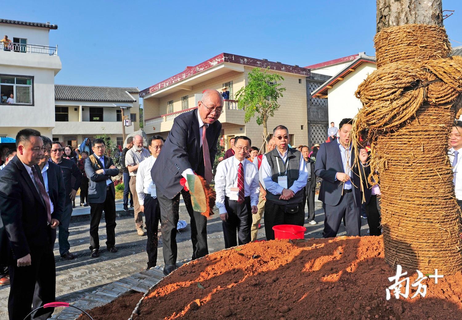 丘成桐等人在羊岃村种下桂花树,寓意"蟾宫折桂".何森垚 摄