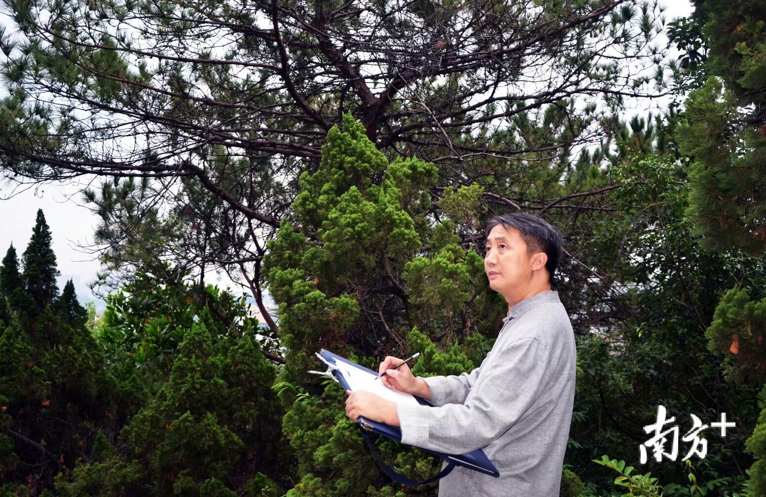 张青道外出写生。