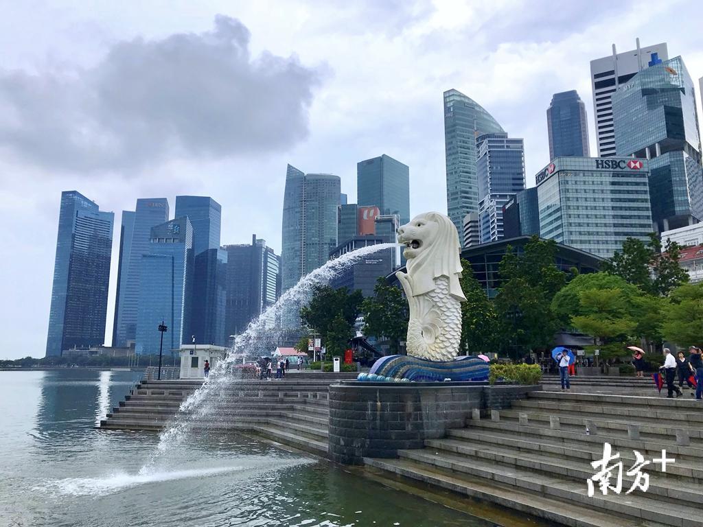 鱼尾狮后方是新加坡金融中心。杨立轩  摄