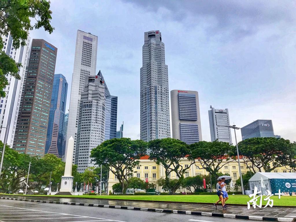 新加坡被誉为亚洲金融中心。杨立轩  摄