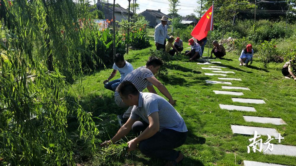 走进田间地头，积极参与农村建设，推动乡村振兴。