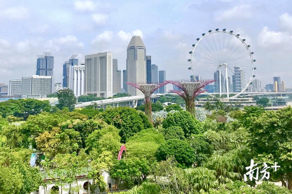 新加坡是亚洲宜居城市。杨立轩 摄