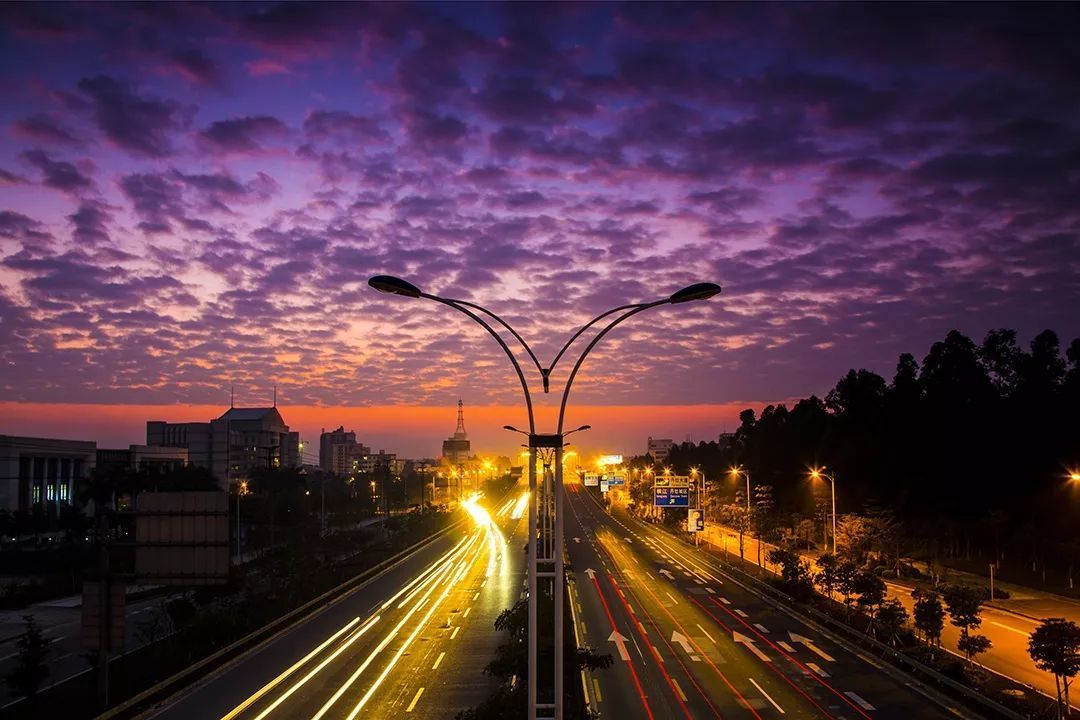 ▲桂丹，下一站出口/陆其钊摄