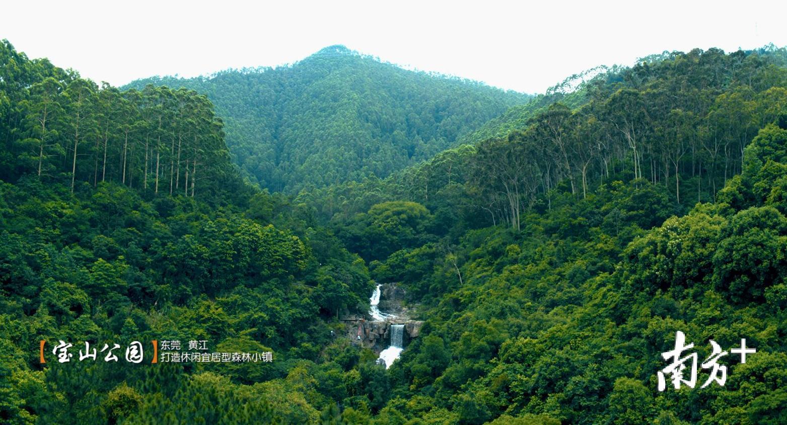 休闲旅游业成为黄江经济增长新亮点。