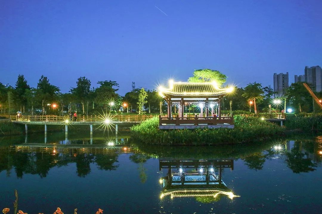 ▲翰林湖夜色/严其生摄