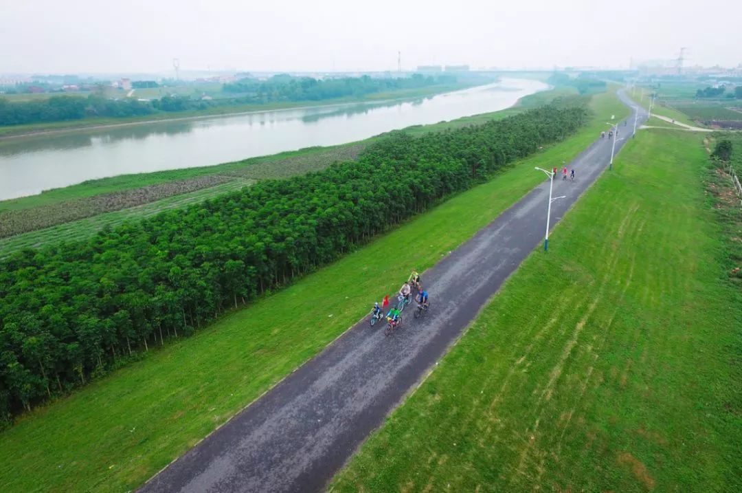 ▲环岛河堤绿道
