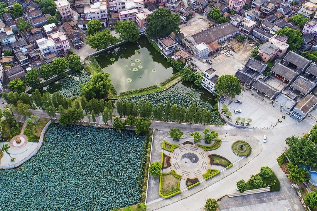 ▲鸟瞰仙岗/高波摄