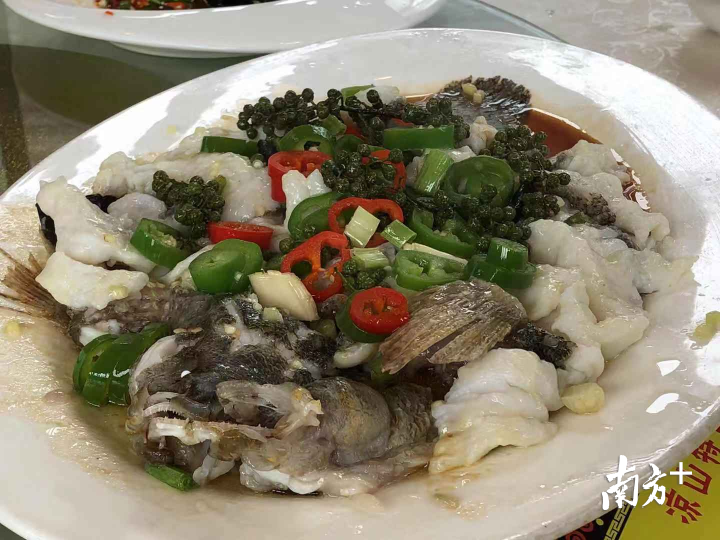 特色顺德蒸鱼加入金阳鲜花椒。蒋晓敏 摄