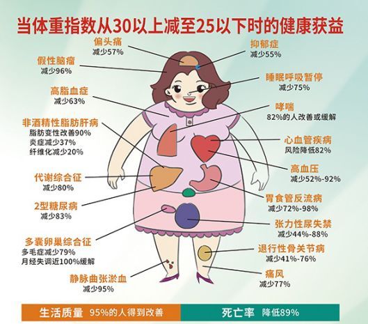 胖子图鉴:全世界各式各样的胖子我都搜罗来了!你是哪一类?