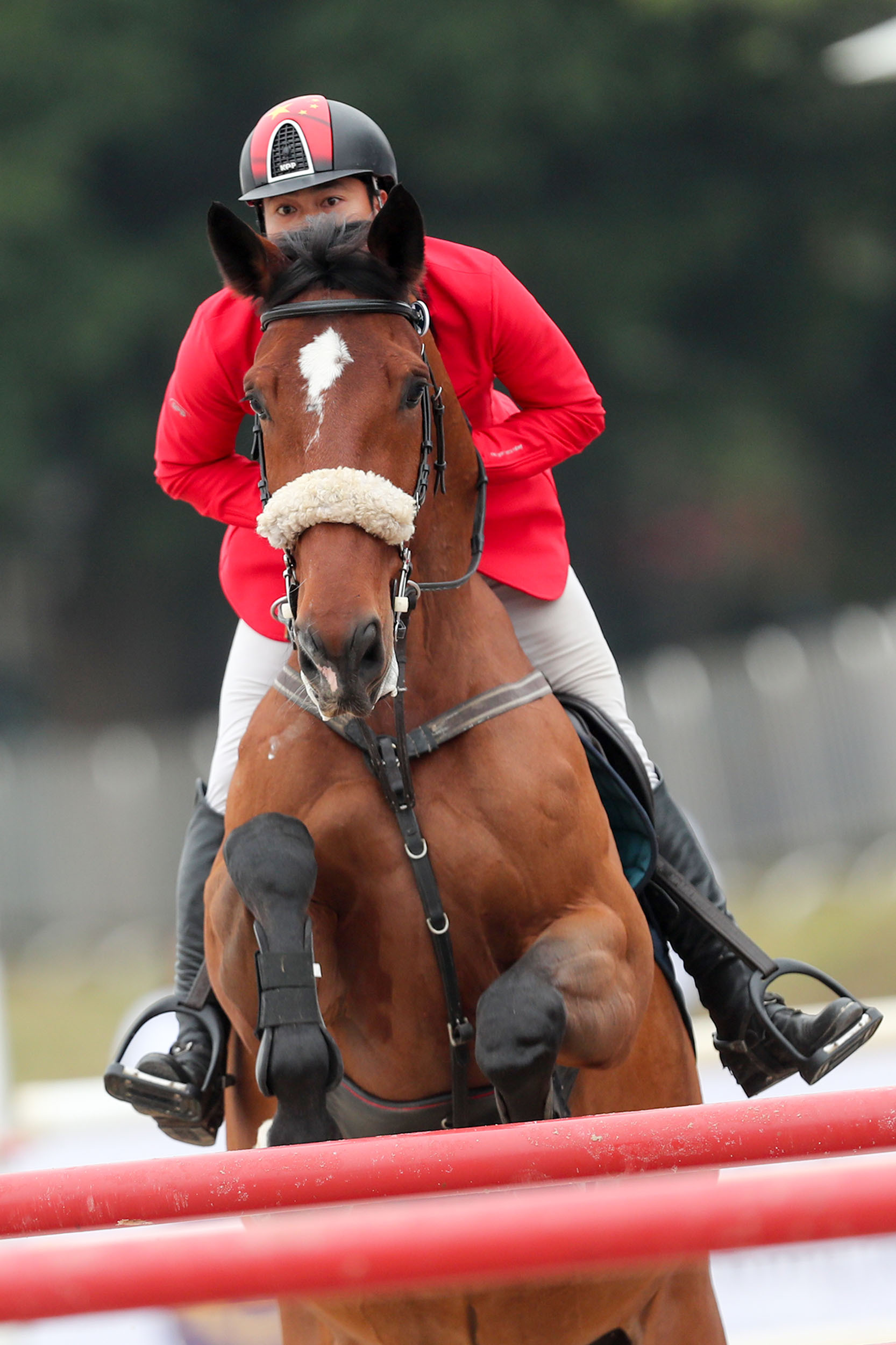 浪琴表中国马术巡回赛香港赛马会杯广州总决赛在黄村体育训练中心落幕