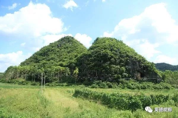 它們分別是:廣東英德市青塘遺址,湖北沙洋縣城河新石器時代遺址,陝西