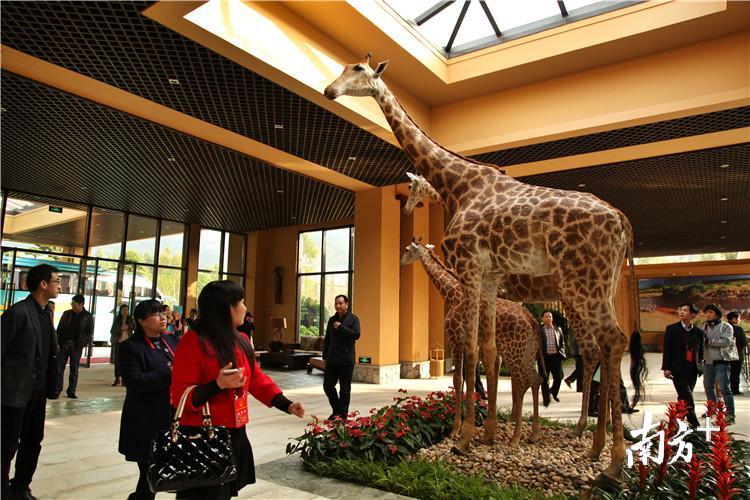 “建设具有主题公园特色的国际化旅游城市”，也被确定为“清远‘入珠融湾’最有条件率先突破的领域”。梁素雅 摄